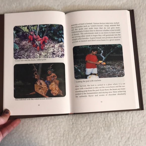 VIVA CHOCOLATE 🍫Book - Picture 7 of 8